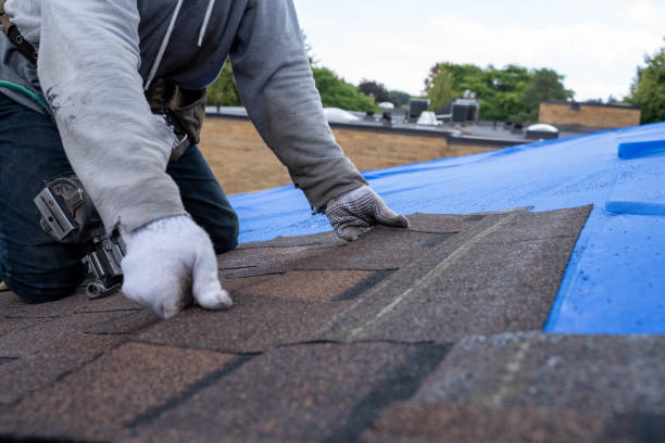 Trusted Arlington, TX Roofing Contractor Experts